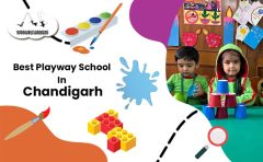 Best Playway School in Chandigarh | toddlersashiana.com