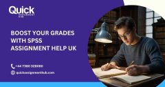 Boost your grades with SPSS assignment help UK