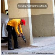 Pest Control Service in Noida | Godrej Pest