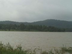 Experience the Beauty of Mysore to Ooty with Mysore Cabs Tours and Travels