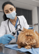 bio technology internships kerala