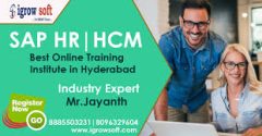 Best SAP HR HCM Online Training in Hyderabad | Igrowsoft