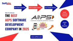 Top features of the best AEPS Software Development Company In India