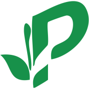 Premium Indian Tea Manufacturer & Supplier in India | Pembroke Consumer Goods