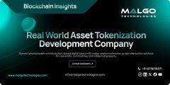 Trusted Real World Asset Tokenization Development Company for Enterprises
