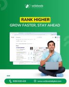 Best Graphic Design Agency in Maharashtra | Wildwebdigital