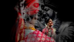 Vivek Krishnan Photography