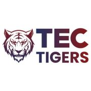 Managed IT Services Provider | TecTigers