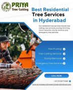 Priya Tree Cutting