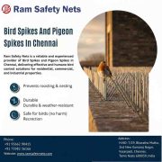 Bird Spikes and Pigeon Spikes in Chennai – Ram Safety Nets