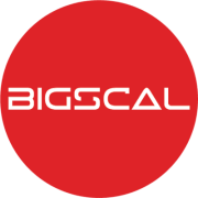 Bigscal The Ultimate Software Development Company | Dharti