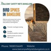 Birds Spikes in Bangalore – Clean & Safe Solution | balconysafetynetsbangalore.co.in