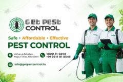 Get Pest Control – India’s Leading Eco-Friendly Pest Control Platform