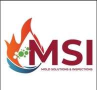Mold Solutions & Inspections