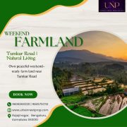 Urban Nest Properties