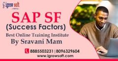 Best SAP Success Factors Training Institute In Hyderabad | Igrowsoft