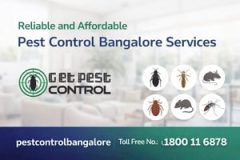 Reliable and Affordable Pest Control Bangalore Services | getpestcontrol