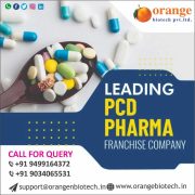 Top Pharma Franchise Company | Orange Biotech Private Limited