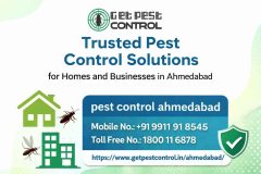 Trusted Pest Control Solutions for Homes and Businesses in Ahmedabad