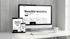 Indian Website Company