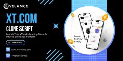 Custom XT. com Clone Development company