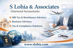 S Lohia & Associates