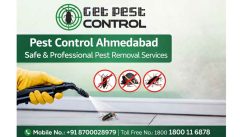 Pest Control Ahmedabad – Safe & Professional Pest Removal Services | Getpestcontrol.in