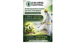Professional Pest Control Services in Bangalore – Safe & Effective Solutions