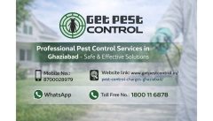 Best Pest Control Services in Noida – Safe & Effective Solutions