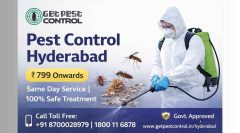 Pest Control Hyderabad ₹799 Onwards | Same Day Service | 100% Safe Treatment
