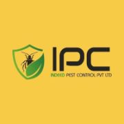 How Professional Anti-Termite Treatment in Gurgaon Protects Your Property | indeedpestcontrol.com