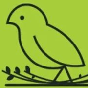 Retail Fit‑Out & Interior Design Services India