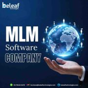 MLM Software for Modern Businesses | smithtaylor
