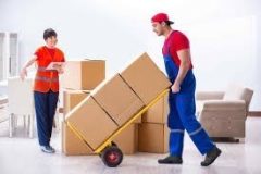 Riya Trans Solution Packers And Movers
