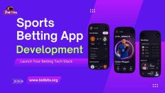 Sports Betting App Development Services with API Engine